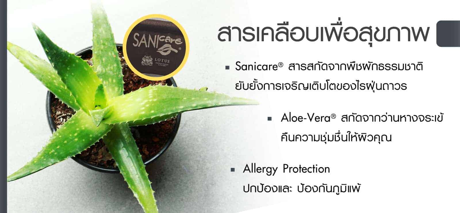 LOTUS MATTRESS Royal Oak (Privacy Tech) Lotus Mattress