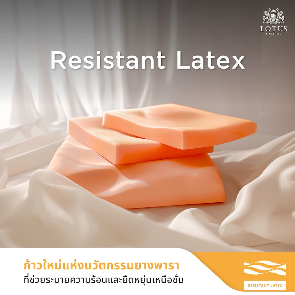 lotus-mattress-state-005