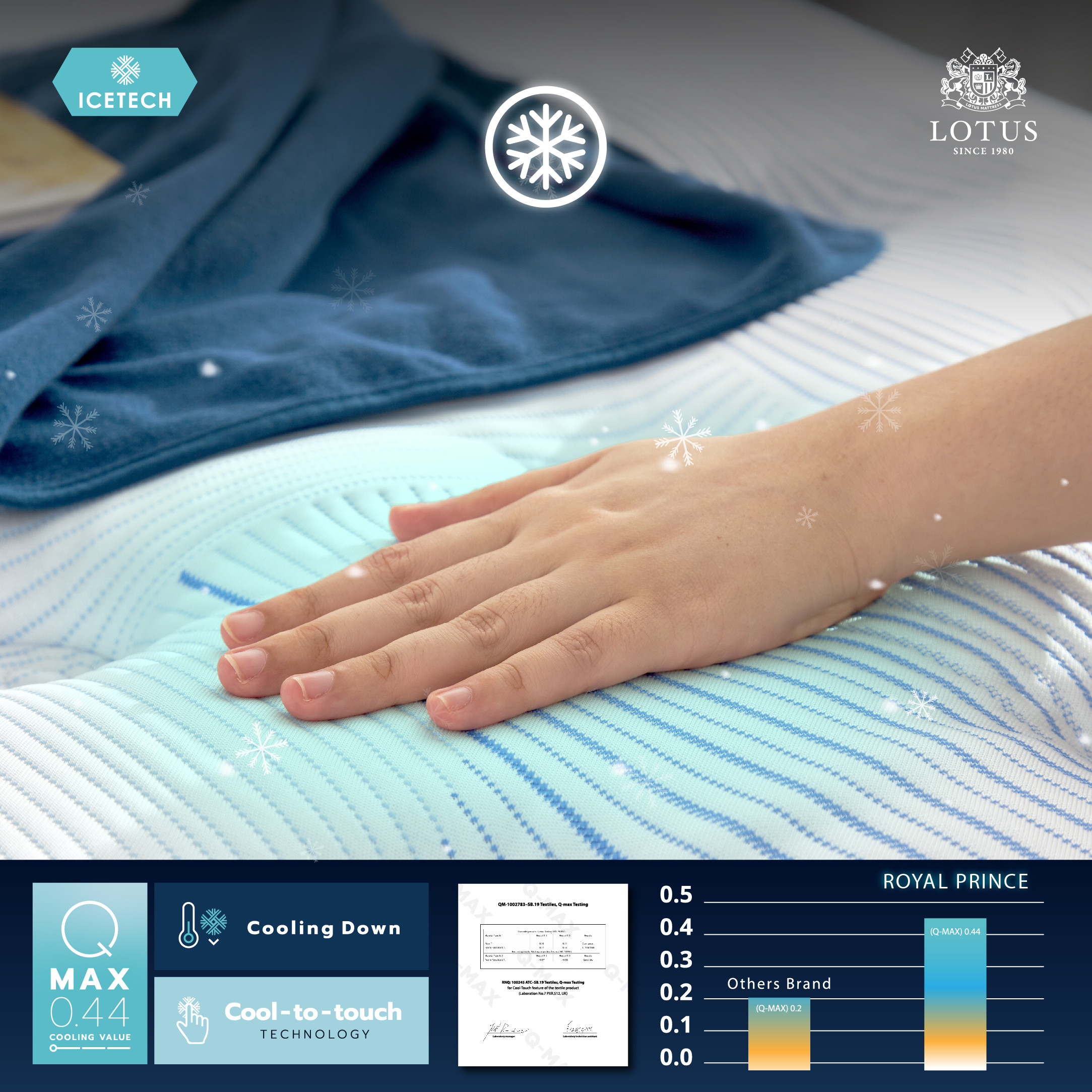 lt-royal-prince-info-no-text-010