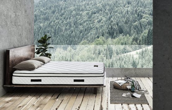 plants-for-your-bedroom-to-help-you-sleep-better-13