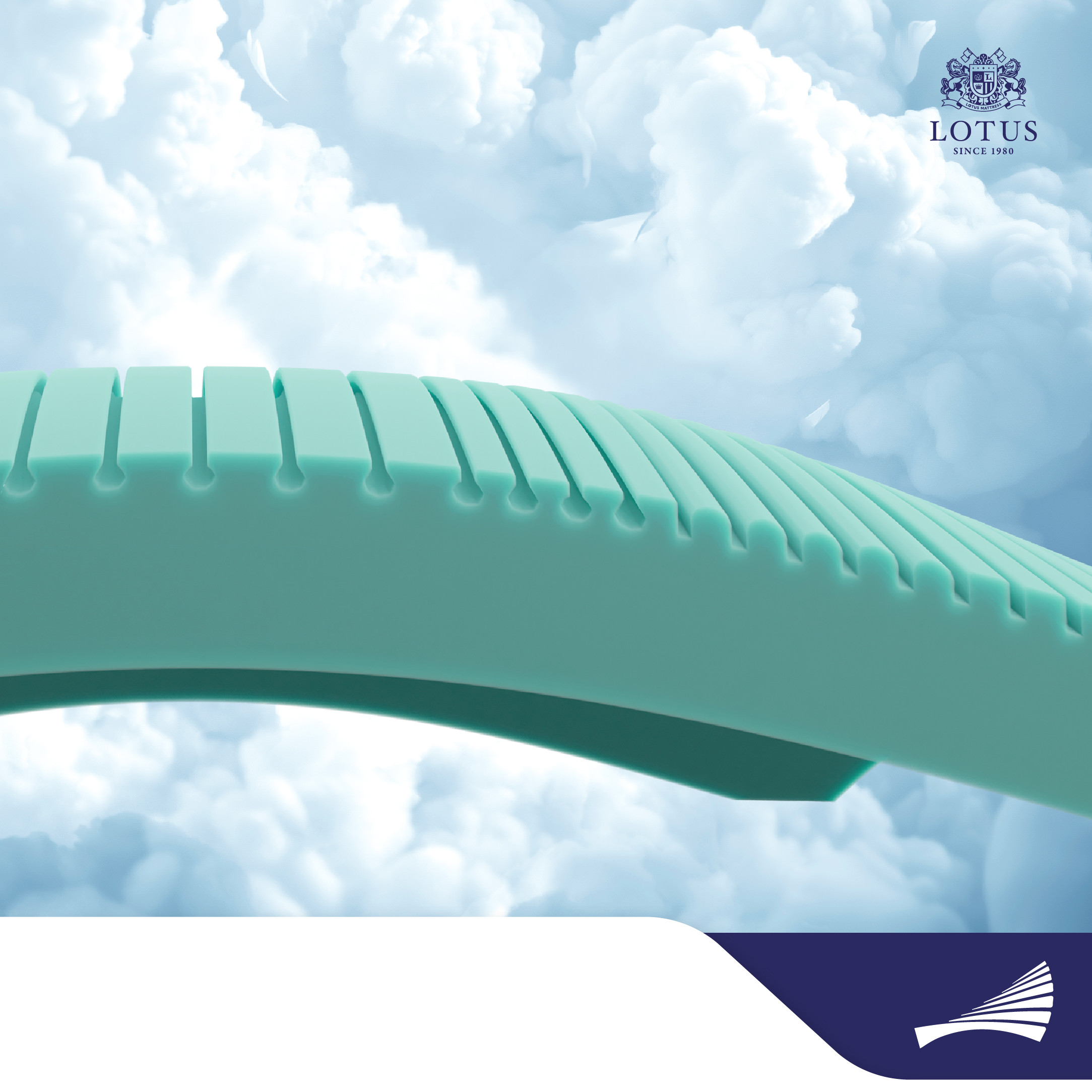 lt-royal-prince-info-no-text-007