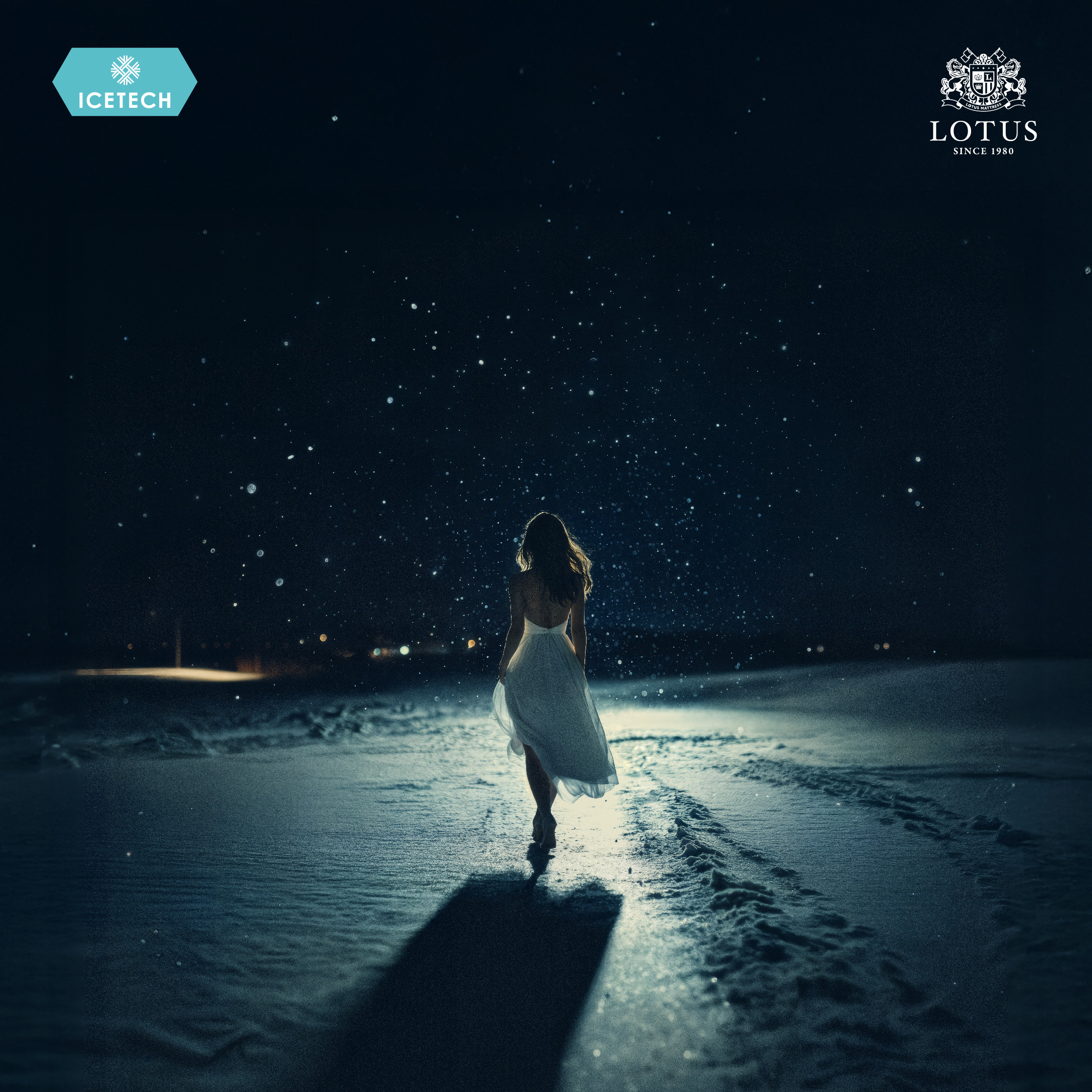 lt-royal-prince-info-no-text-013