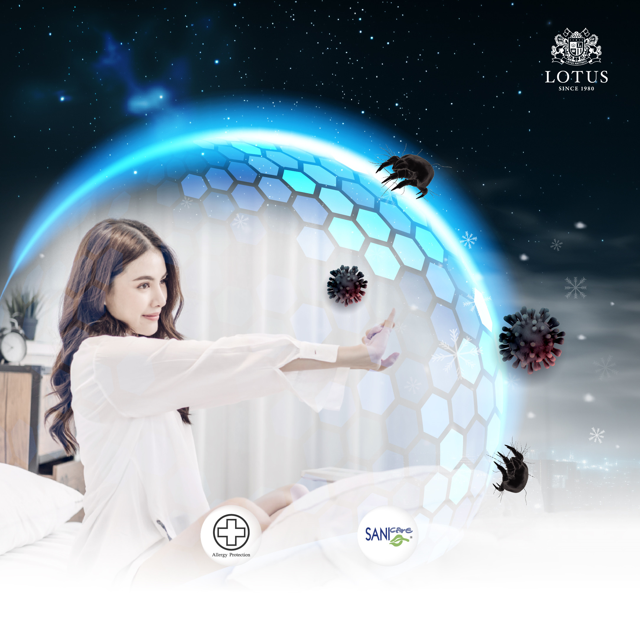 lt-royal-prince-info-no-text-012