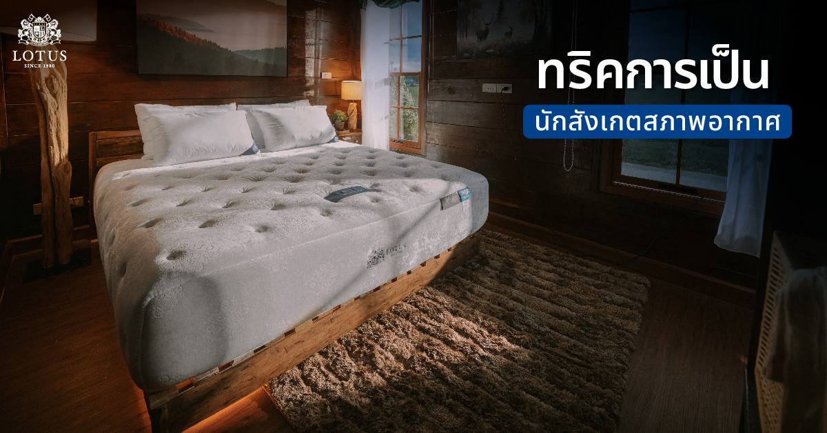 share-tips-for-taking-care-mattress-1200x628-02