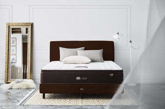plants-for-your-bedroom-to-help-you-sleep-better-14