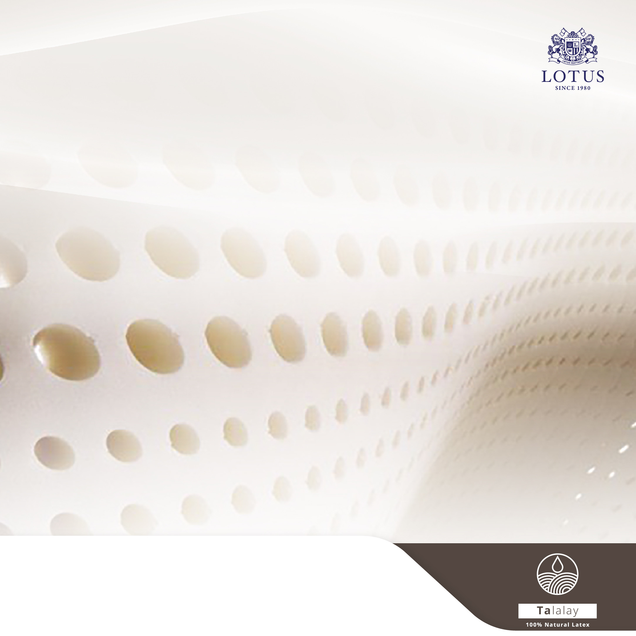 lt-royal-prince-info-no-text-001