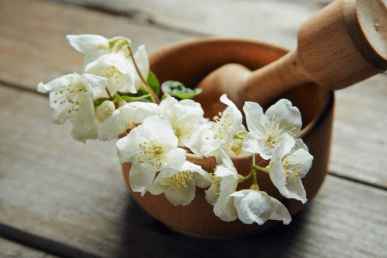 plants-for-your-bedroom-to-help-you-sleep-better-2