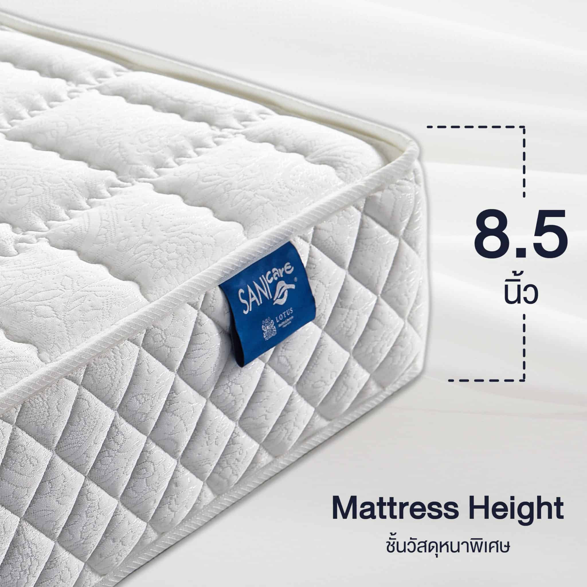 LOTUS MATTRESS The Lounge Lotus Mattress