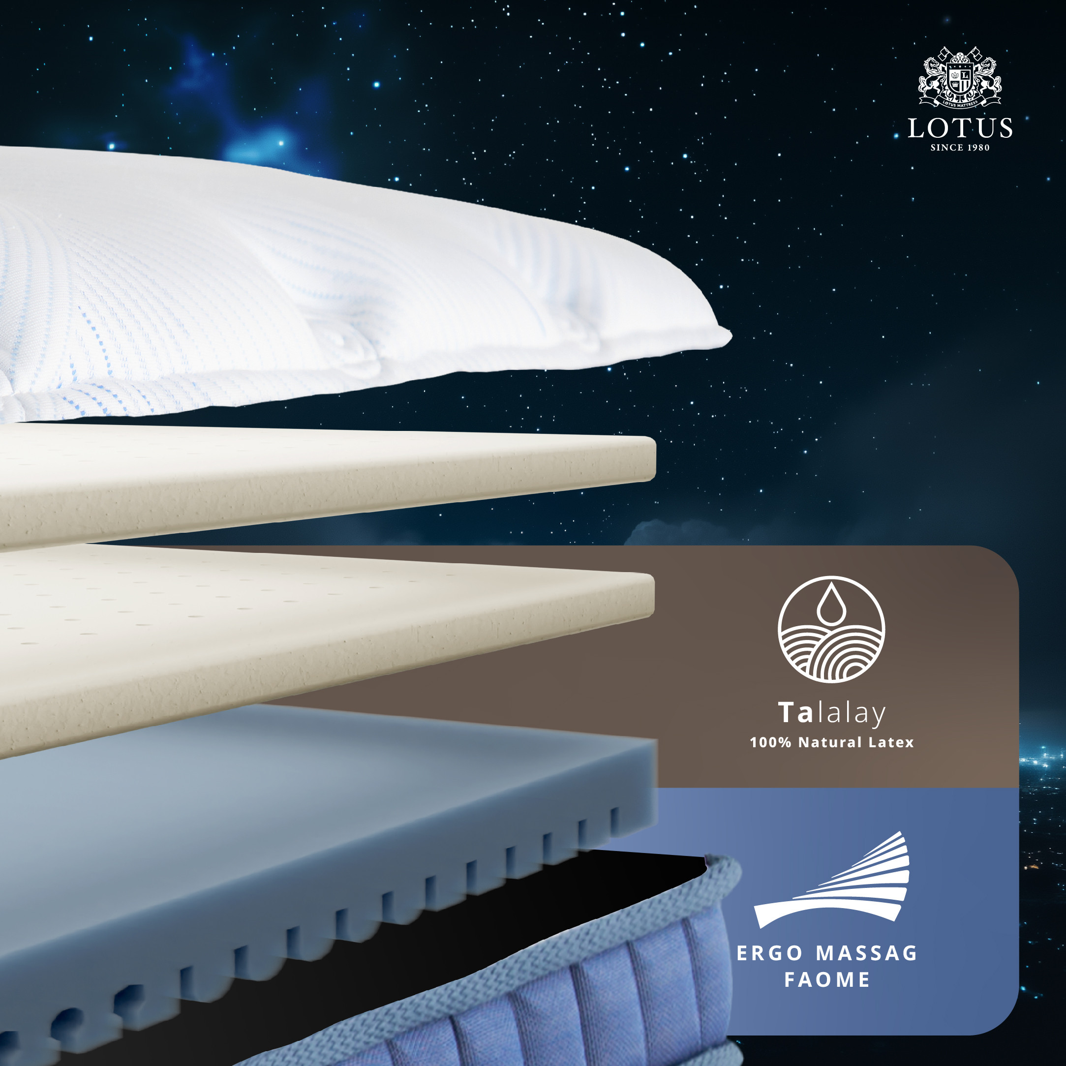 lt-royal-prince-info-no-text-005