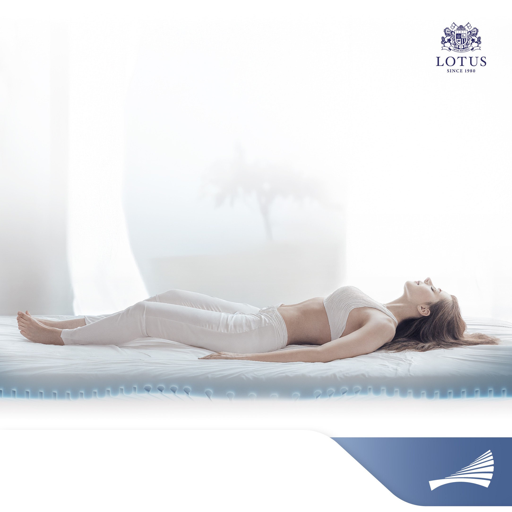 lt-royal-prince-info-no-text-008