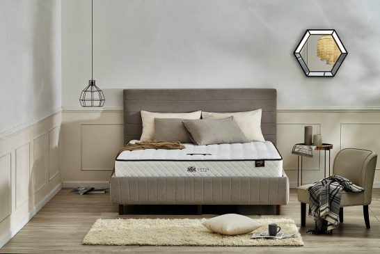 plants-for-your-bedroom-to-help-you-sleep-better-12