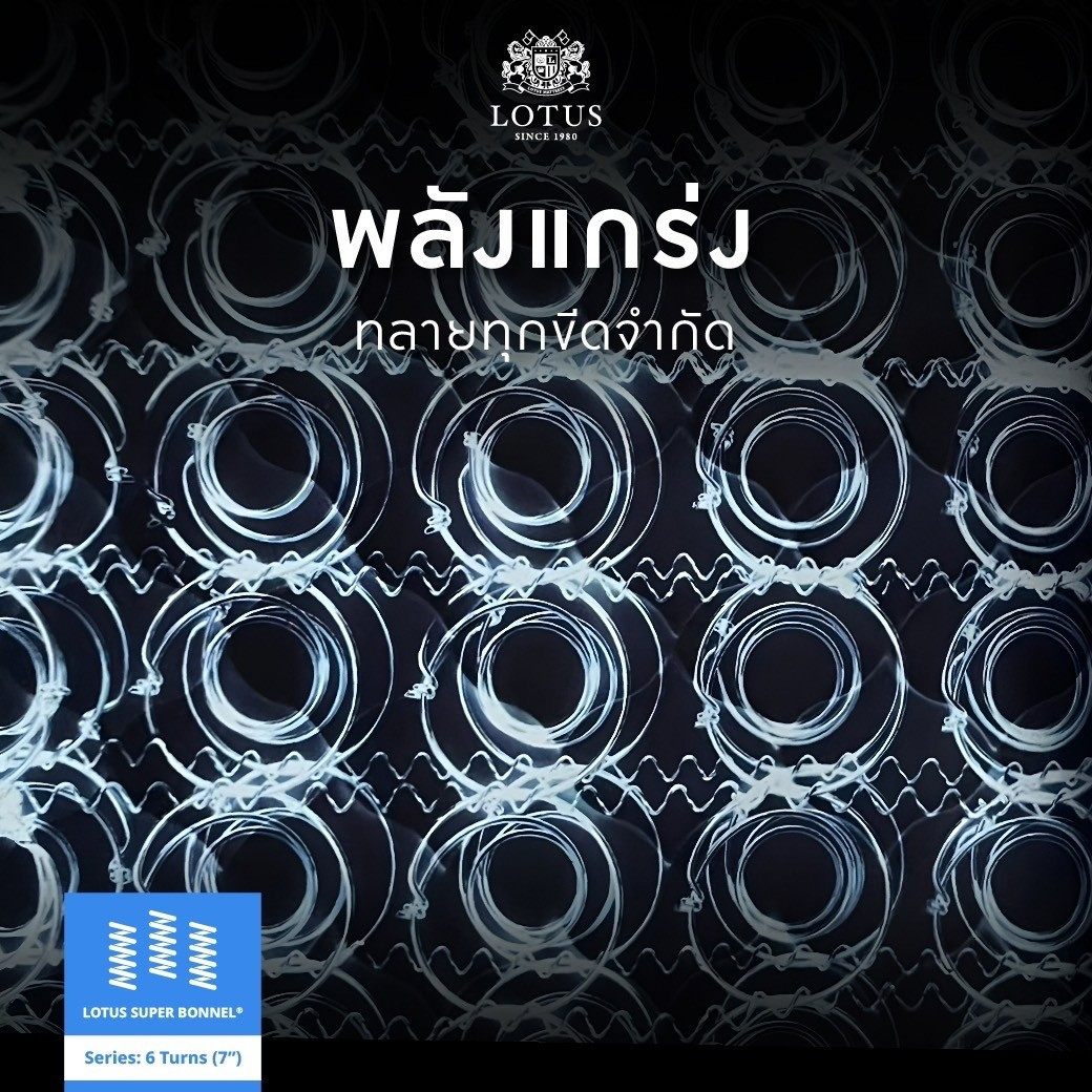 line-album-842567-be-13