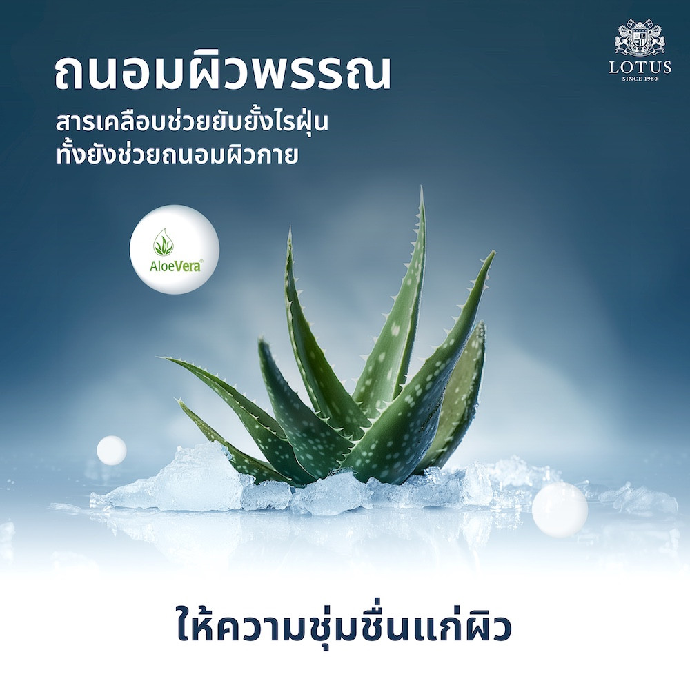 lotus-mattress-state-009