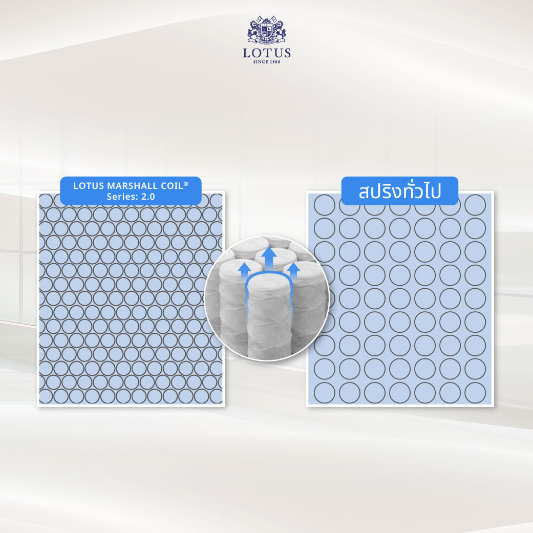 lotus-mattress-santos-info-04