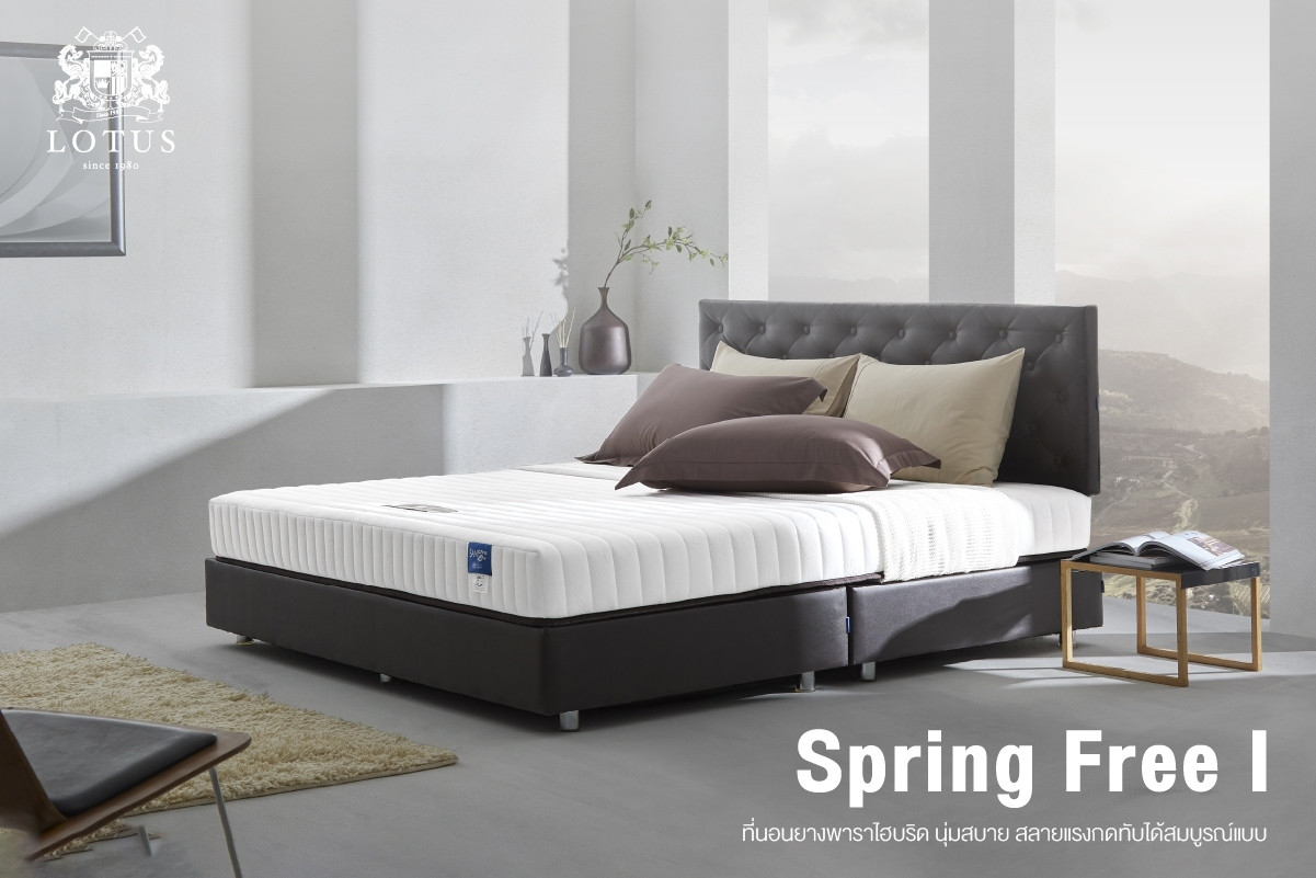 Free box deals spring with mattress