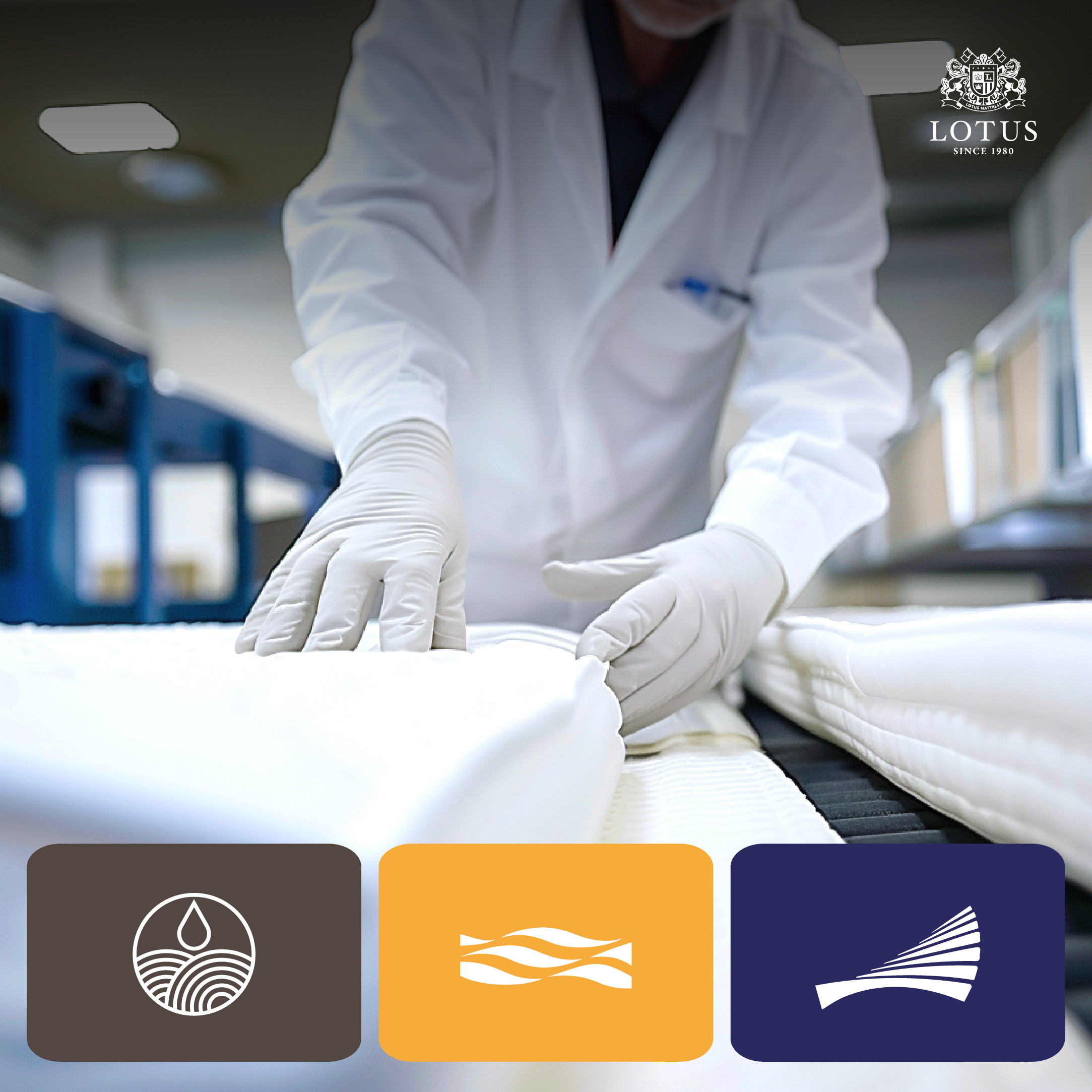 lt-royal-prince-info-no-text-004