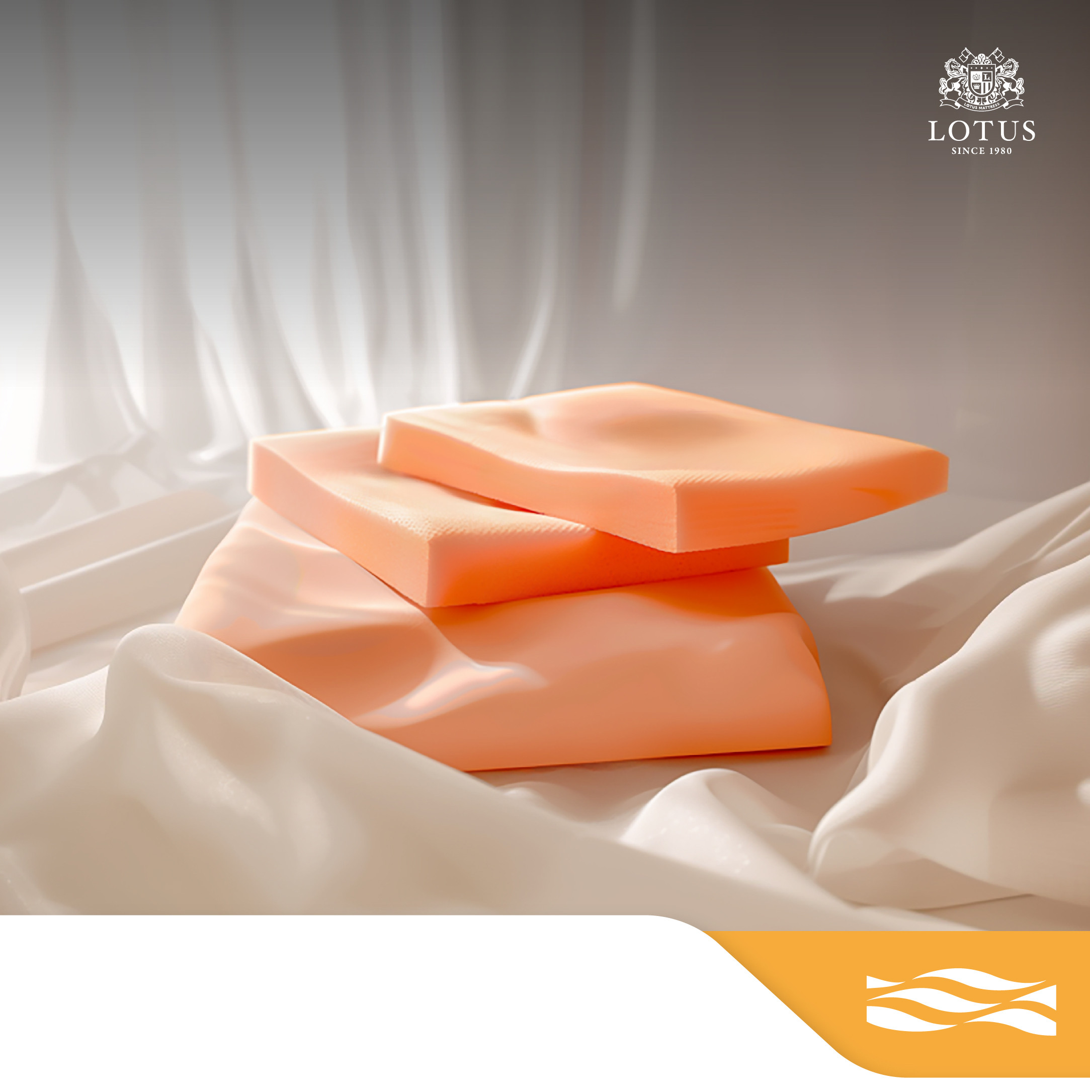 lt-royal-prince-info-no-text-009